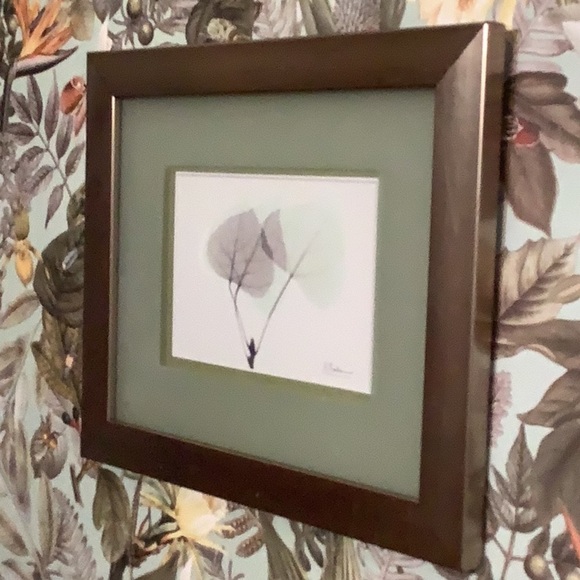 Albert Koetsier Signed Art Print Aspen Leaves Brushed Nickel Frame - Picture 12 of 12